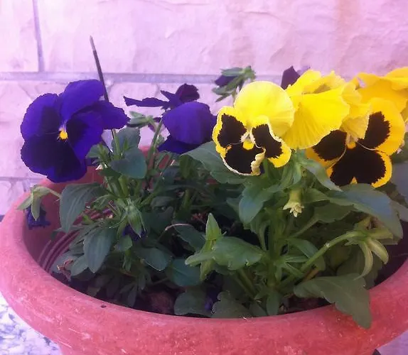 Appartement Old Town *